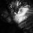 Dmitry_Blatov